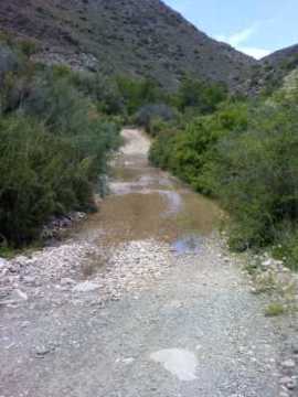 water on road